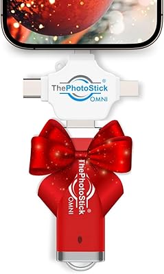 ThePhotoStick Omni 512GB