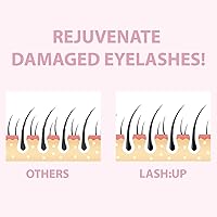 Amber Lash Curlerful Brow Lamination Kit, 20mL Each — image 7