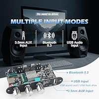 Wuzhi Audio ZK-1001U Mono Amplifier Board — image 4