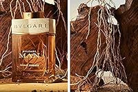 Bvlgari Man Terrae Essence Eau de Parfum 3.4oz — image 4