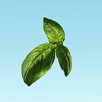 Calvin Klein Eternity Aqua Eau De Toilette 50mL — image 4