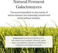 Mixsoon Galactomyces Ferment Essence 100ml — image 2