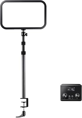 Godox ES45 Key Light