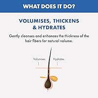 Alfaparf Milano Semi Di Lino Volume Shampoo 10.58oz — image 5