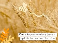 Babo Botanicals Moisturizing Oat & Calendula 2-in-1 Shampoo & Wash 8oz — image 9