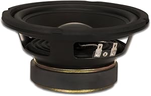 Goldwood Sound GW-6024 6.5″ Woofer 170 Watts 4ohm Replacement Speaker Review