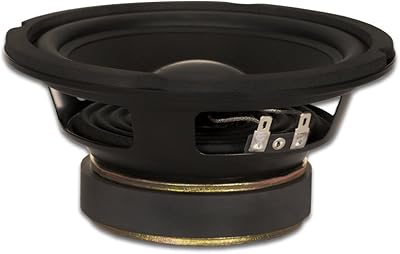 Goldwood Sound GW-6024 6.5″ Woofer 170 Watts 4ohm Replacement Speaker