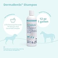 DermaBenSs Shampoo for Dogs, Cats, and Horses 12oz — image 2