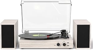 TANLANIN TE-003GW Vintage Bluetooth Turntable Review
