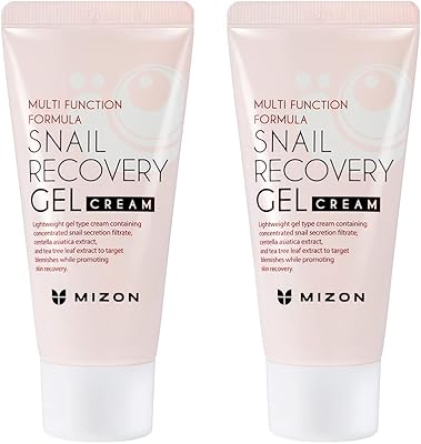 MIZON Snail Recovery Gel Cream 45mL (Pack of 2)