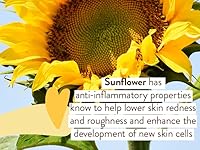 Babo Botanicals Swim & Sport Mineral Sunscreen Spray SPF 30 — image 7