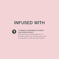 KEVIN.MURPHY ANTI.GRAVITY Volumising & Texturising Lotion 150mL — image 3