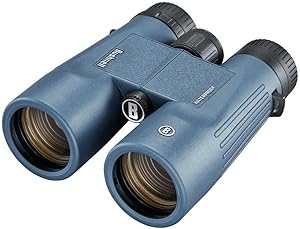 Bushnell H2O 8x42mm Binoculars Review