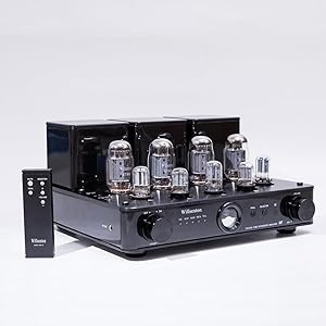 Willsenton R8 KT88/EL34 Tube Amplifier Review