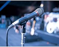 Audio-Technica AE6100 Hypercardioid Dynamic Handheld Microphone — image 2