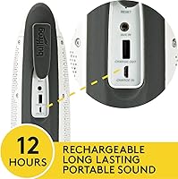 Kicker Bullfrog BF100 Bluetooth Portable Outdoor Speaker — image 3