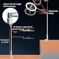 AIXPI Ring Light with Overhead Phone Mount 10″ — image 2