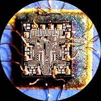 AmScope SM-4TZ-144-5MT Trinocular Stereo Microscope — image 5