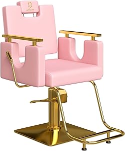 LUXMARS Heavy Duty Barber Chair, Pink Review