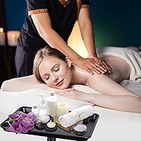 FWOD BIBTO Salon Tray on Wheels — image 5