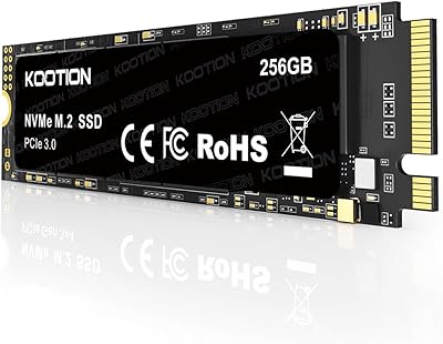 KOOTION 256GB NVMe M.2 PCIe SSD