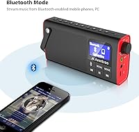 Avantree SP850 Portable FM Radio with Bluetooth & SD Card MP3 Player — image 3