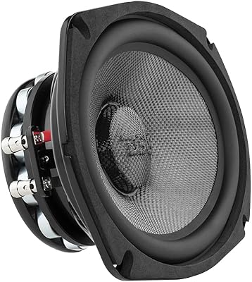 DS18 PRO-CF69.4NR 6 x 9 Inches Water Resistant Loudspeaker