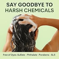 LUSTEL Rosemary Strengthening Volumizing Shampoo and Conditioner Set - 16 Fl Oz Each — image 5