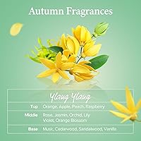 KUNDAL Natural Hair Shampoo Ylang Ylang Scent 600mL (2 x 300mL) — image 6