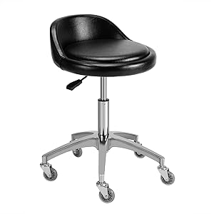 McDooFly Rolling Salon Stool Chair with Back Support Review