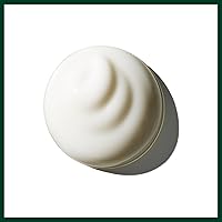 Aveda Brilliant Universal Styling Creme 5 Fl Oz — image 5