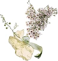 Zara Amber Fusion Perfume for Women EDP 30mL — image 4