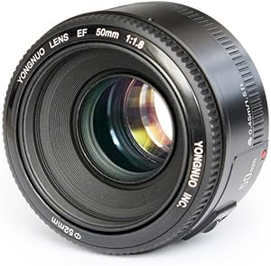 YONGNUO YN50mm F1.8 Lens Review