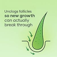 LUSTEL Rosemary Strengthening Volumizing Shampoo and Conditioner Set - 16 Fl Oz Each — image 4