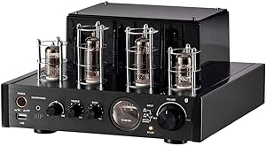 Monoprice Stereo Hybrid Tube Amplifier 2019 Edition, 25W Review