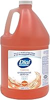 Dial Professional Original Antibacterial Defense Foaming Hand Wash 1 Gallon Refill — image 1