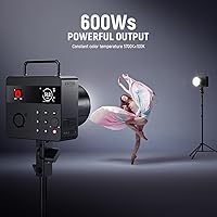 NEEWER Q6 600Ws Outdoor Studio Flash — image 2