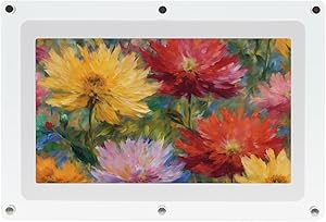Canvia Kinetic Digital Art Frame 7-inch Review