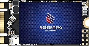 GAMERKING 1TB M.2 2242 SSD Review