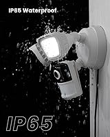 ieGeek ZY-E1 Floodlight Camera — image 9