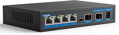 TEROW 2.5G 4-Port Switch with 2 x 10G SFP+