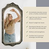 The Earthling Co. Dry Shampoo - Non Aerosol Volumizing Powder for Blonde and Gray Hair, 2.6 oz — image 2