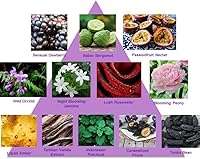 Perry Ellis 18 Orchid Eau de Parfum Gift Set, 4-Piece — image 3