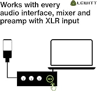 Lewitt LCT 440 Pure Large-Diaphragm Condenser Microphone — image 10