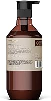 Theorie Argan Oil Restoring Shampoo 800mL — image 2