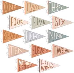 Lucy Darling Petit Milestone Pennants – Mountain Fields Review