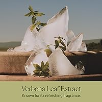 L'Occitane Shea Verbena Hand & Body Liquid Soap Refill 16.9oz — image 4