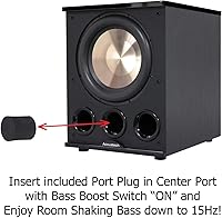 BIC Acoustech Elite Series PL-300 12-inch Powered Subwoofer — image 3
