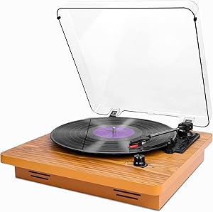 Wrcibo XR-636DP-89 Turntable Review