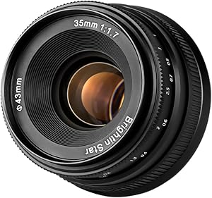 Brightin Star 35mm F1.7 Lens for Nikon Z-Mount Mirrorless Cameras Review